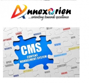 Updated CMS Services in Delhi